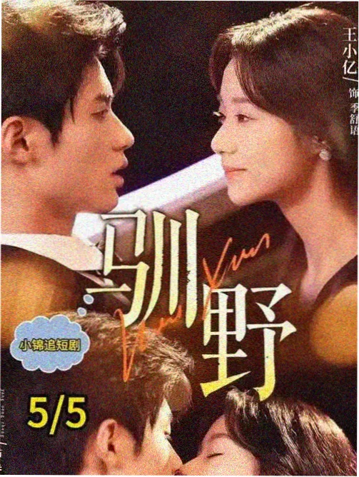 情感调解类节目回看数据资讯配图